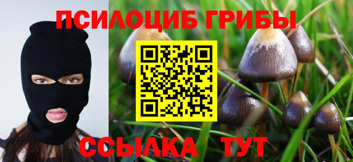 Галлюциногенные грибы мицелий  Псилоцибиновые грибы Cubensis  Фурманов  Вход с VPN 